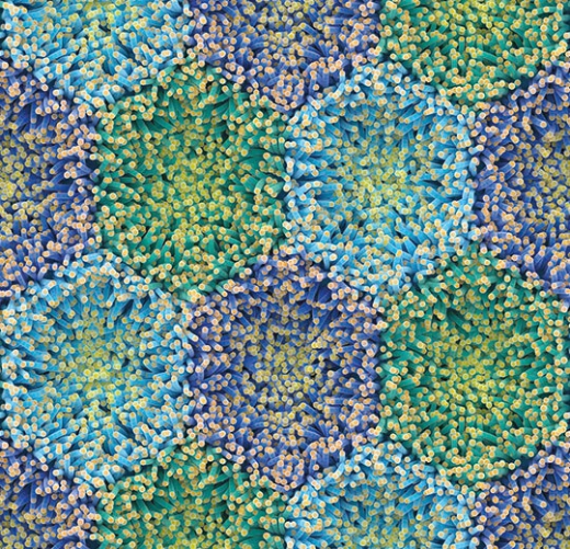 Modul'up wood by mac stopa 360001E