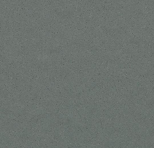 Surestep Steel 177982 metallic carbon