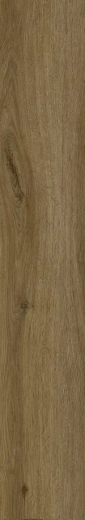 9209 COTTAGE OAK