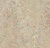 Vivace 3427