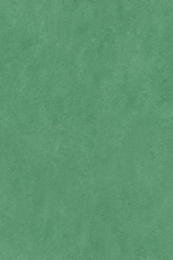 Sport 83288 (3,20)