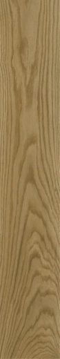 9208 GOLDEN OAK