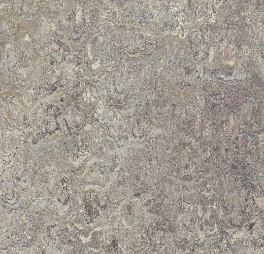 Vivace 3420