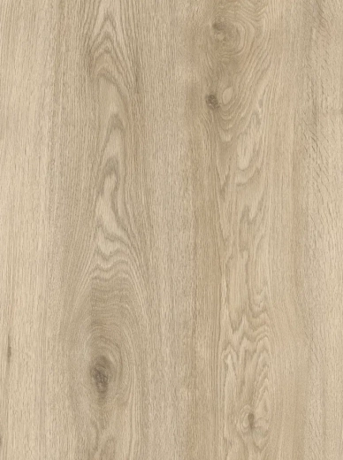 Winston Oak 834