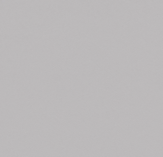 Sarlon 19 Дб graphic and colour 0861T4319 light grey uni