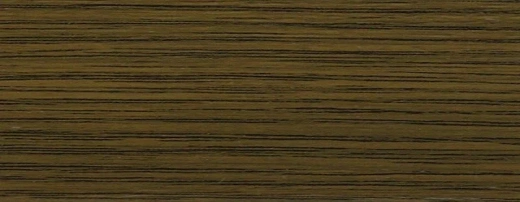 TS 100 LIFE TOP 2538