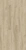 3101 CASHMERE OAK