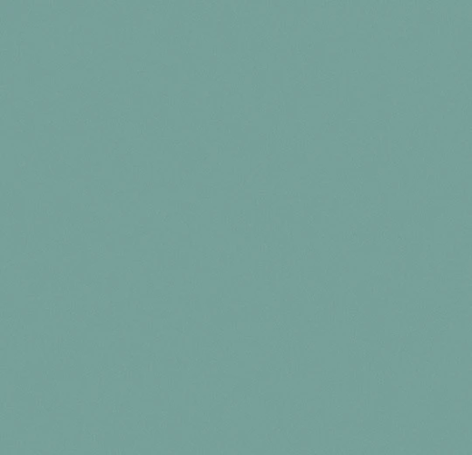 Sarlon 19 Дб graphic and colour 0848T4319 sea green uni